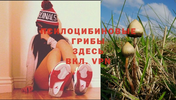 мяу мяу кристалл Богородск
