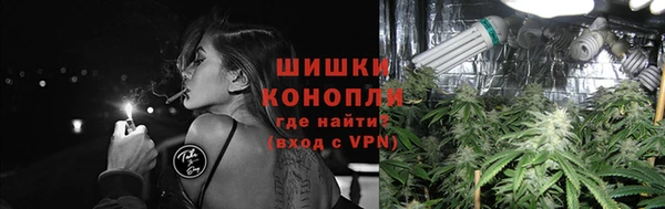 ECSTASY Белокуриха