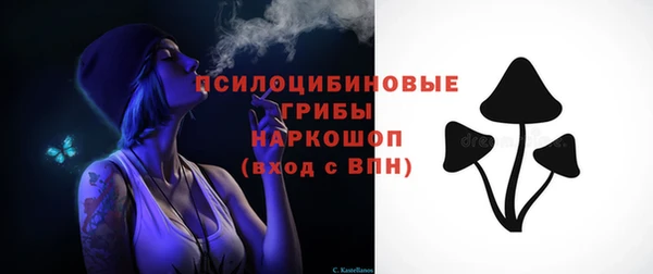 ECSTASY Белокуриха