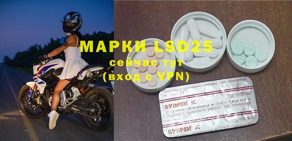 ECSTASY Белокуриха