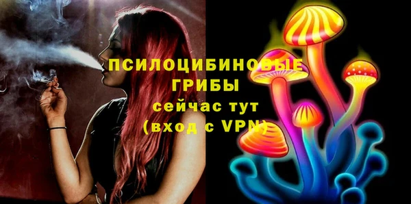 ECSTASY Белокуриха