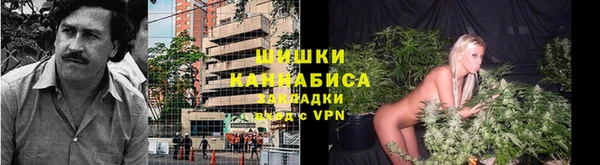 2c-b Богданович