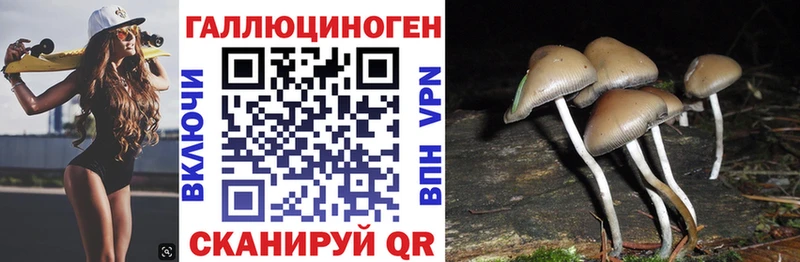 Галлюциногенные грибы мухоморы  купить наркоту  Онега 